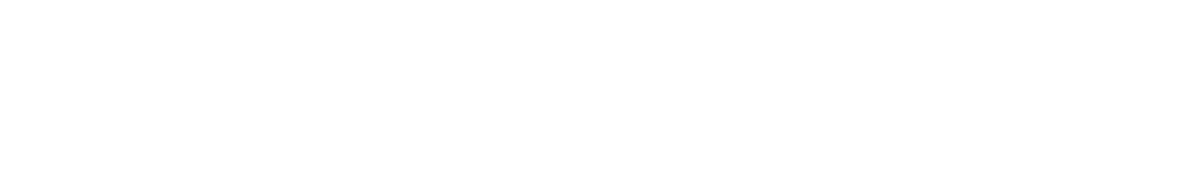 disney cruise line logo